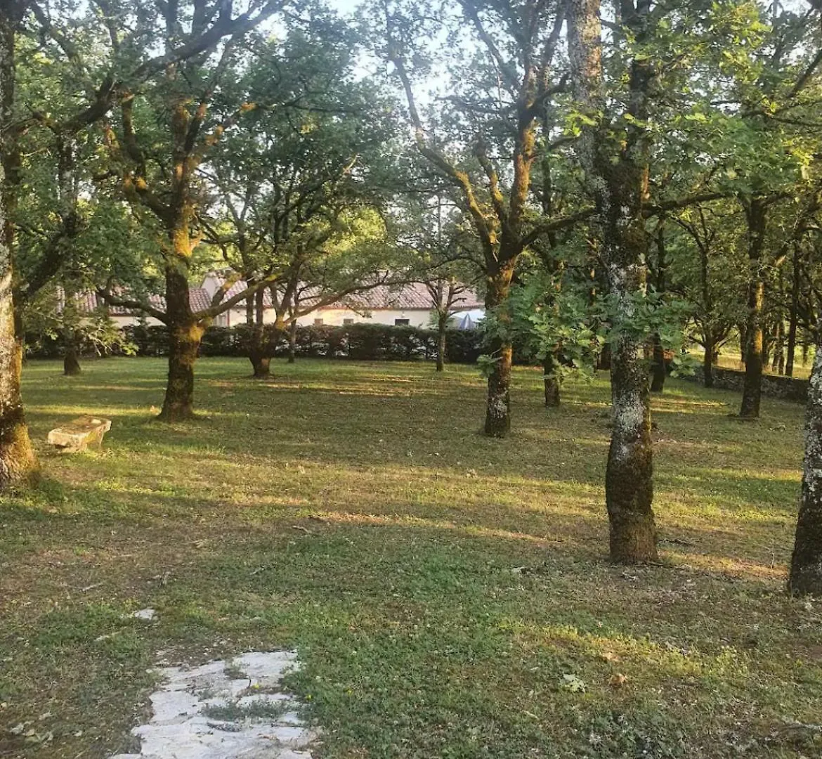 La Maison Dans Les Bois Crayssac